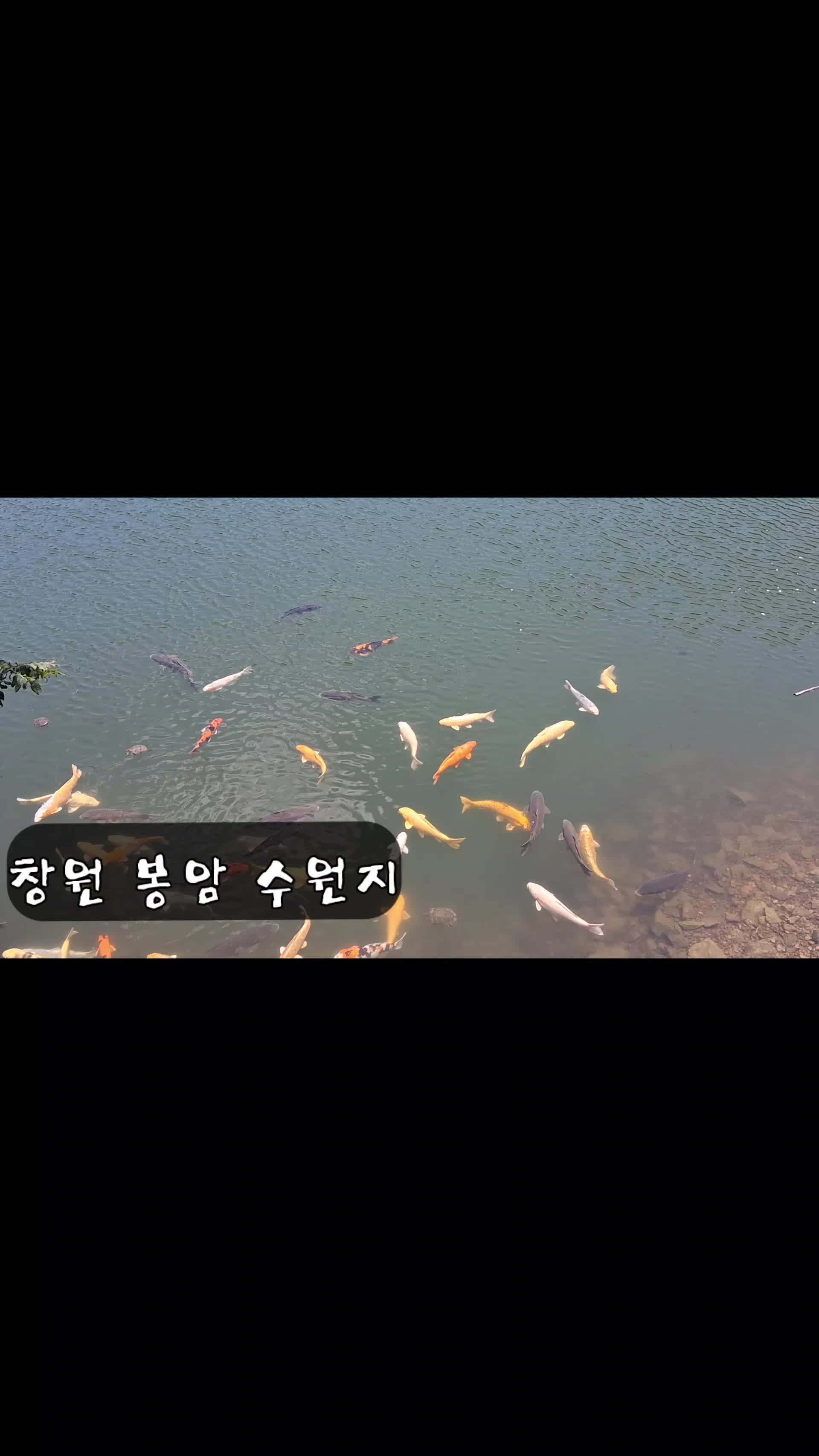@에구