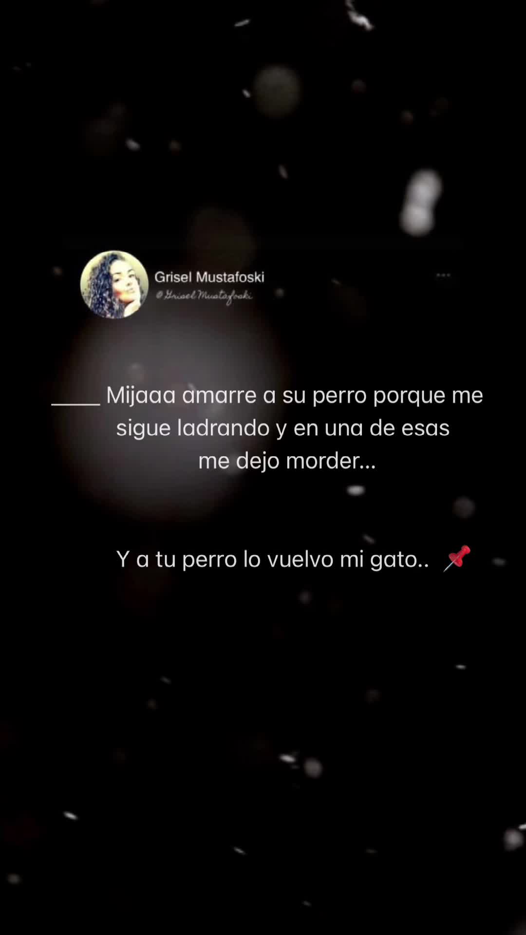 @GSELRIG 🌙🌻🐈⬛