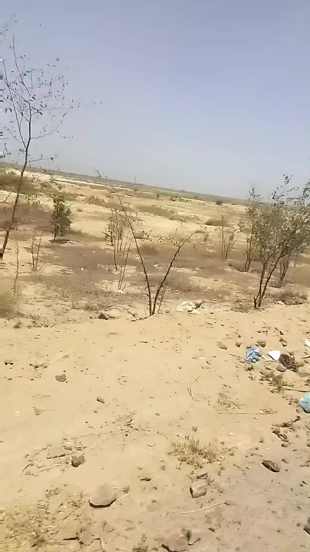 @AFZAALking