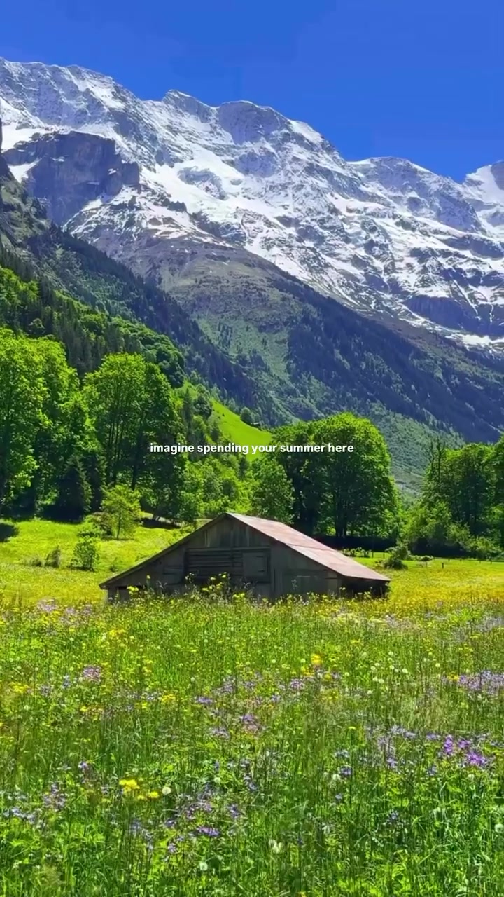 @swisstours