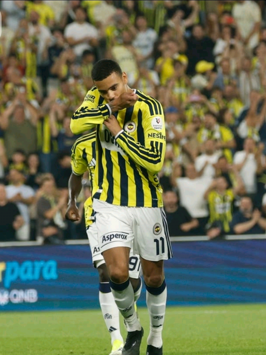 @fenerrvision