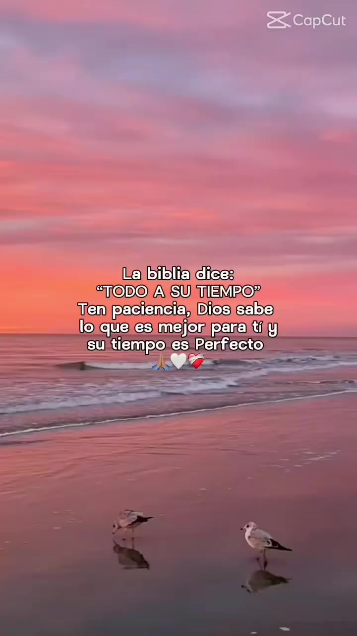 @Noelia