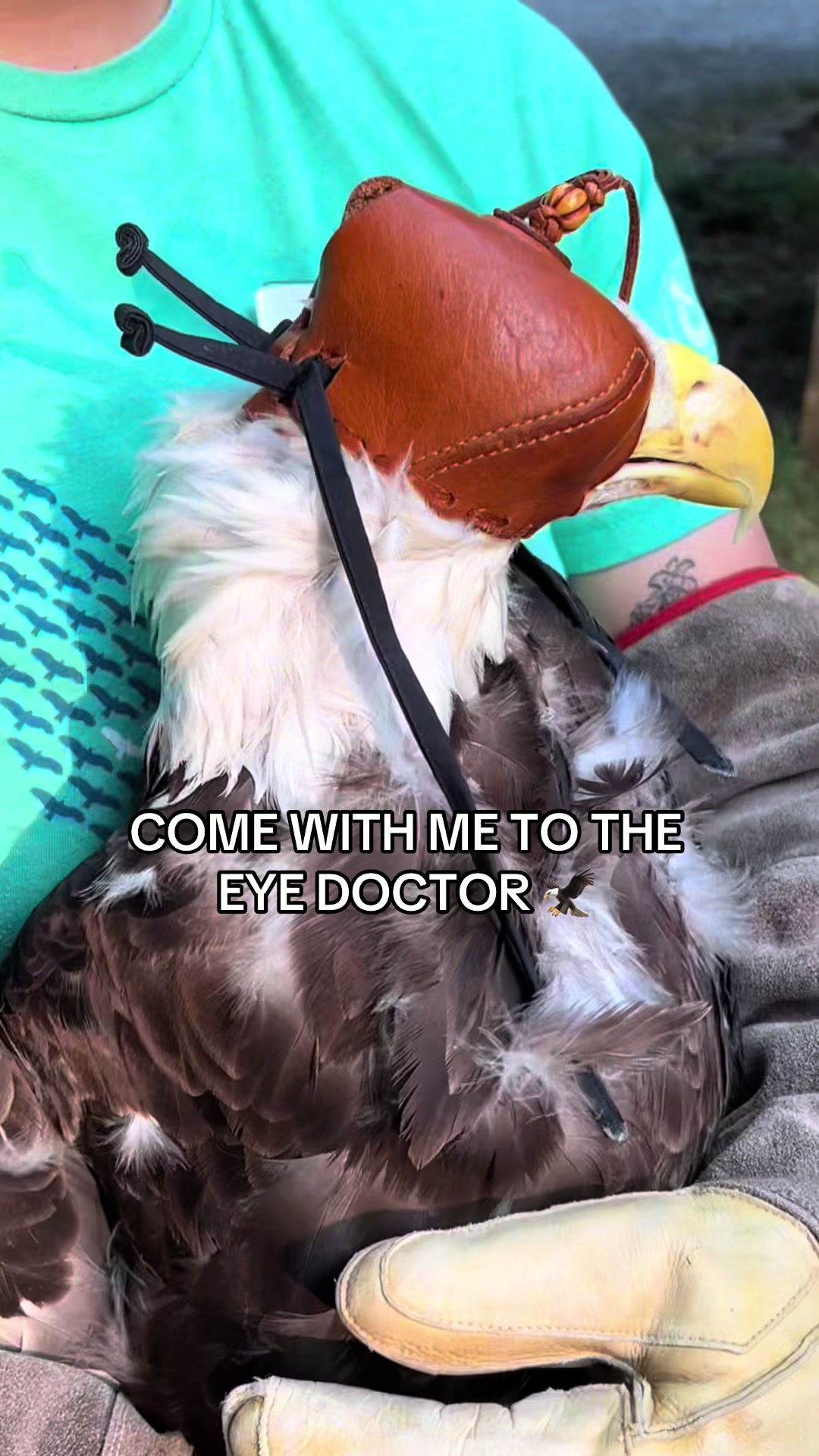 @Carolina Raptor Center