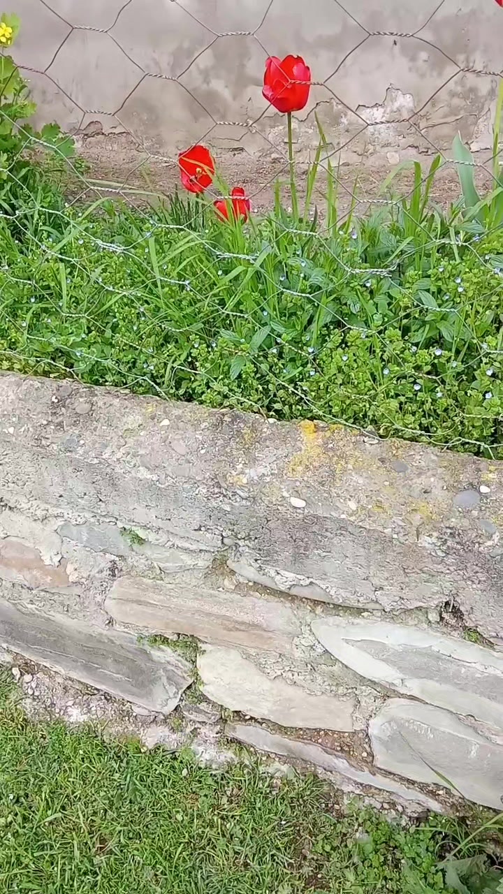 @tiktok