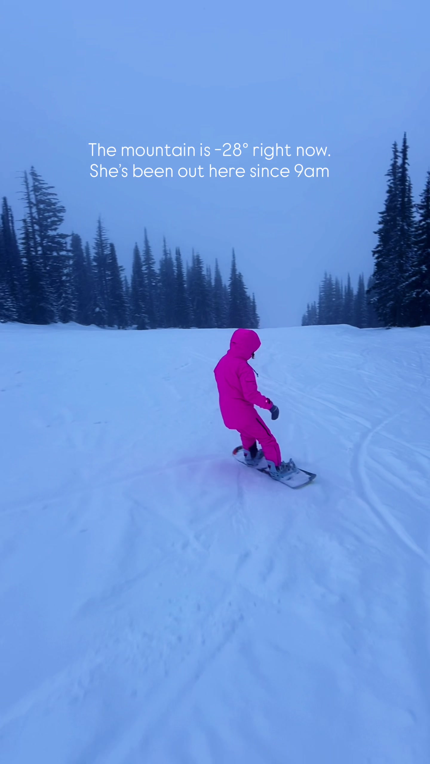 @Nexarina (Mikayla Balfour)