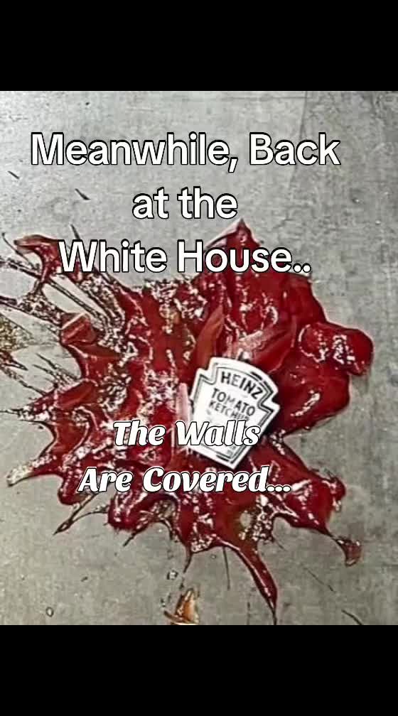 @Garebearboomer!