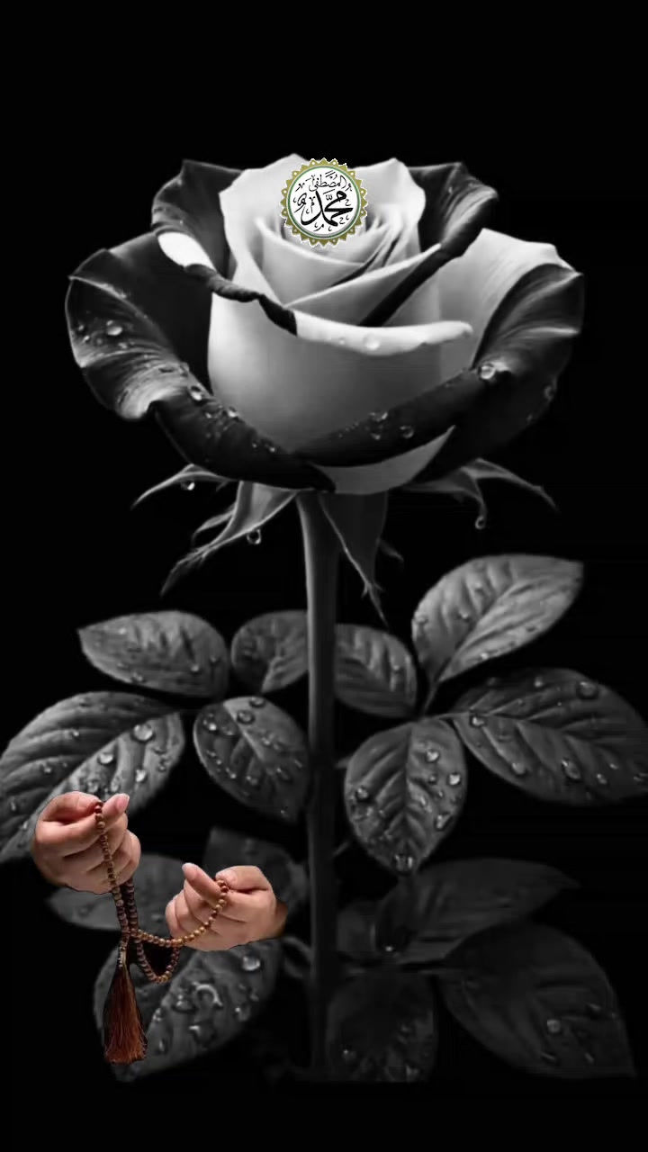 @🇹🇷҉͜͡✭Damla🦂Bozkurt🇦🇿҉͜͡✭