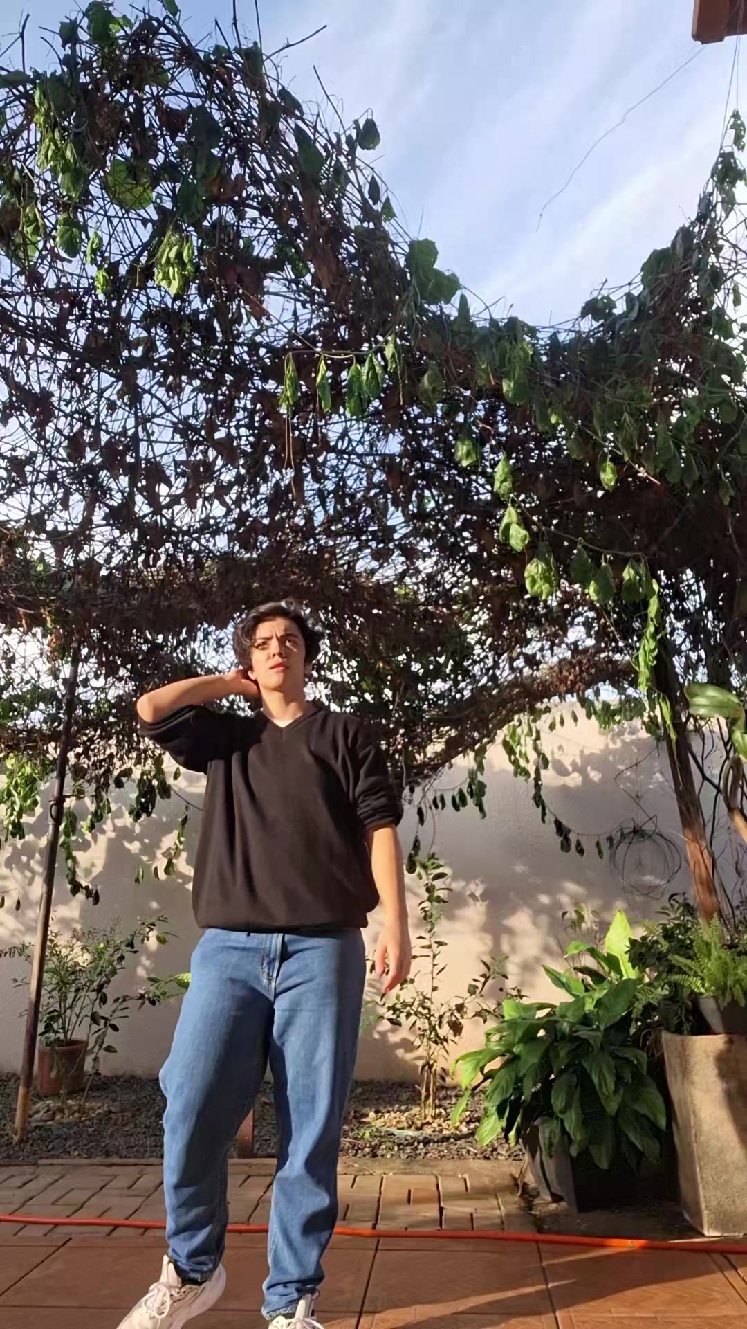 @miguelll