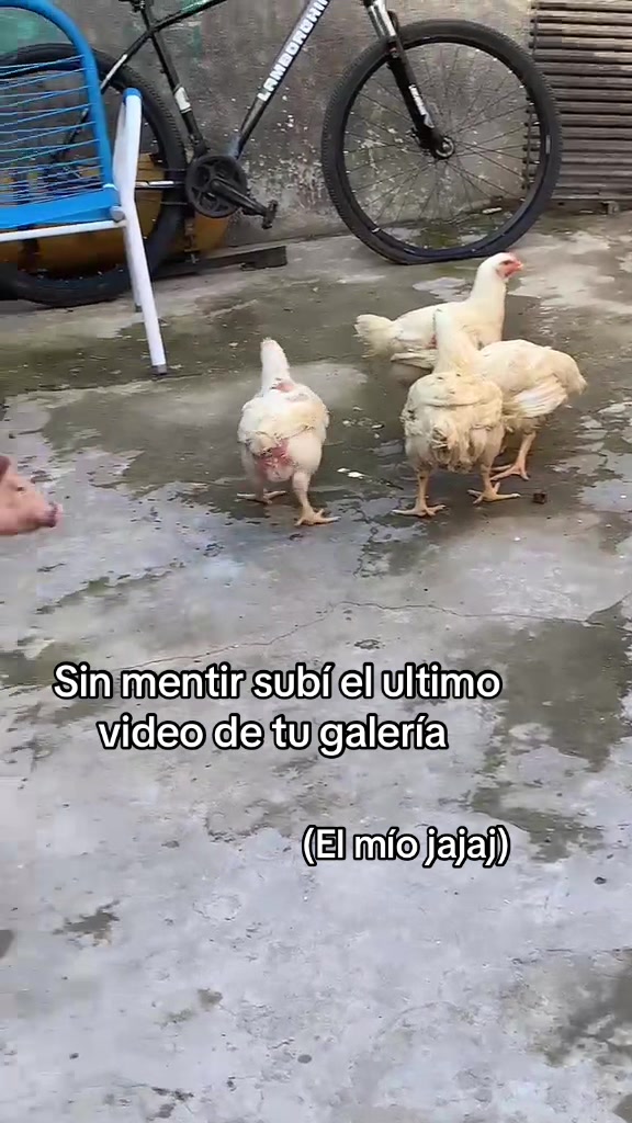 @prii_.martinez