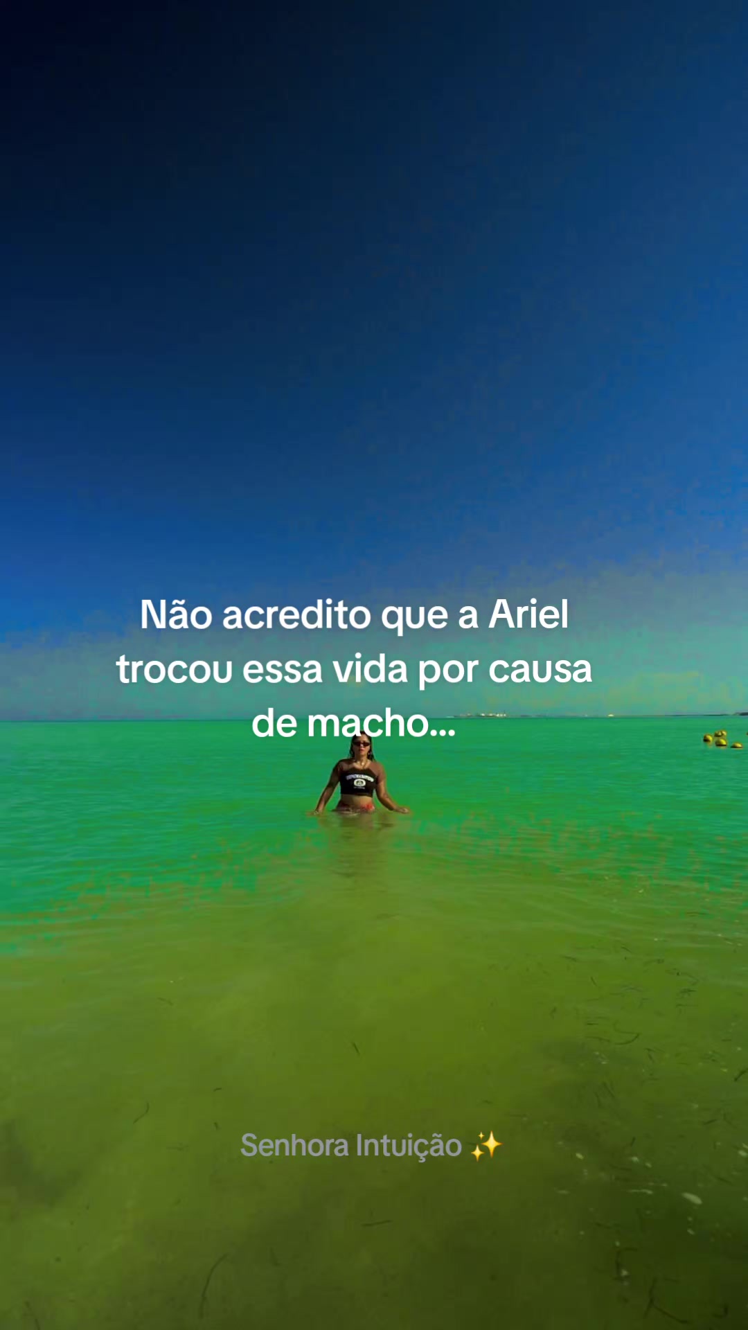 @Sra Intui&ccedil;&atilde;o ✨️