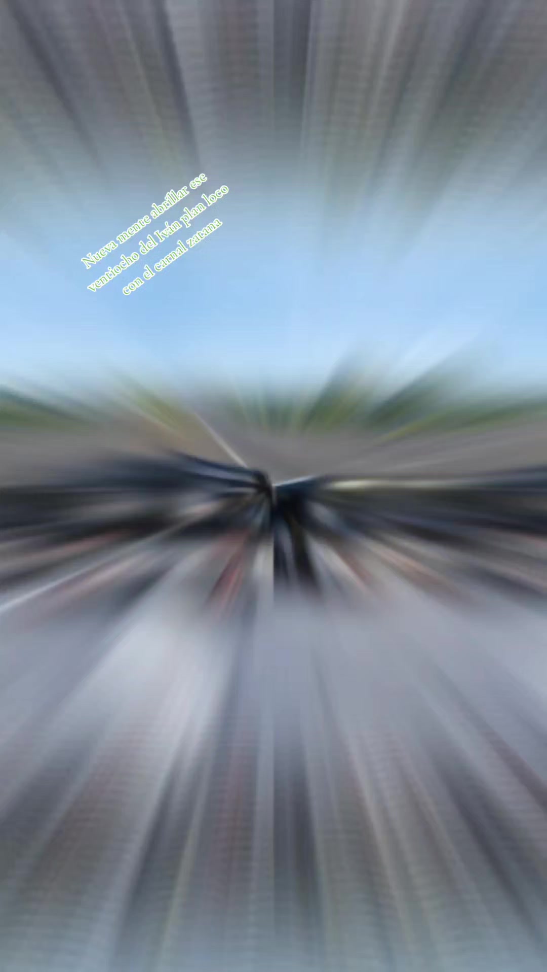 @el venado 505