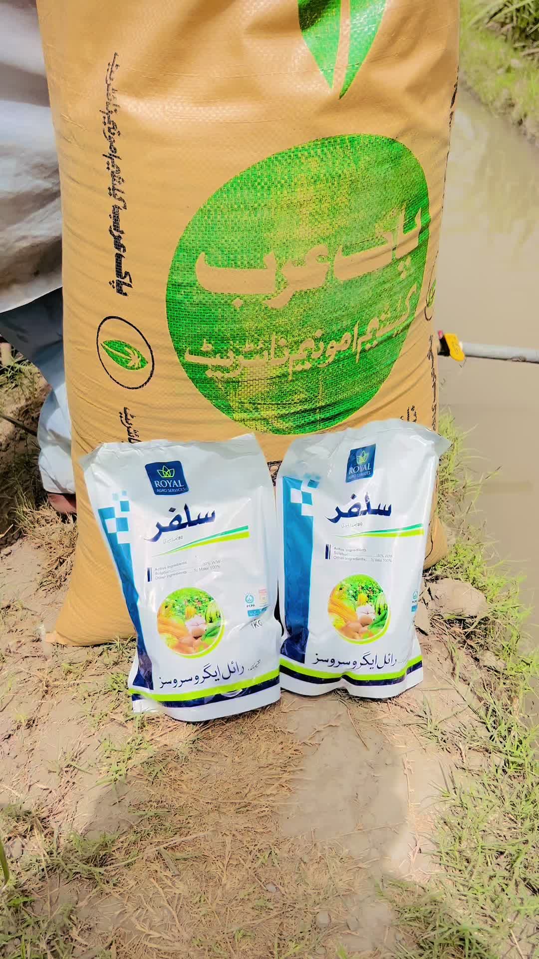 @🥷 سردار عاصم بلوچ 🏴☠️
