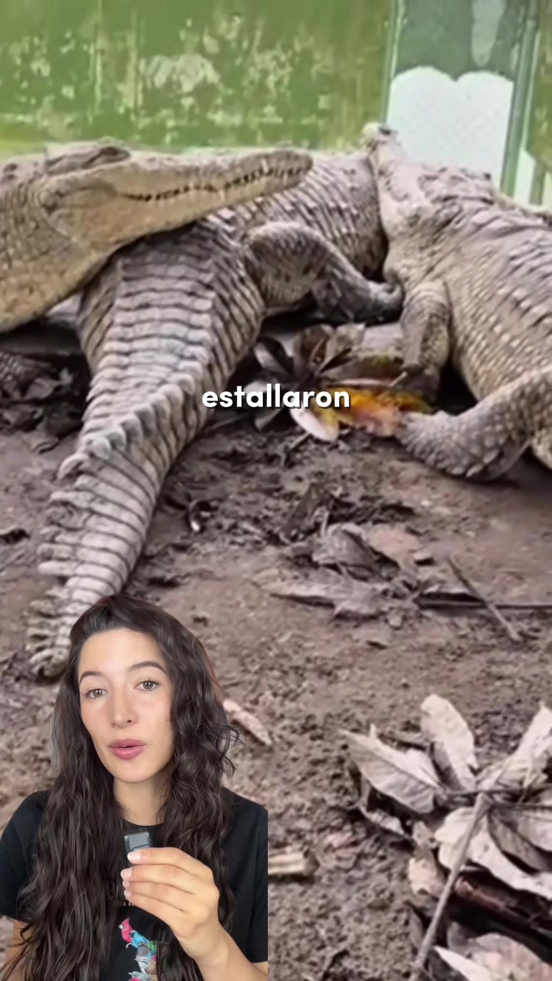 @Sofi Garcés 🌎
