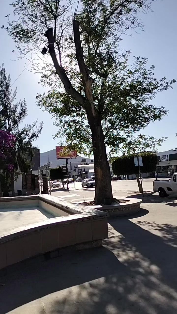 @Angel Carl&oacute;n