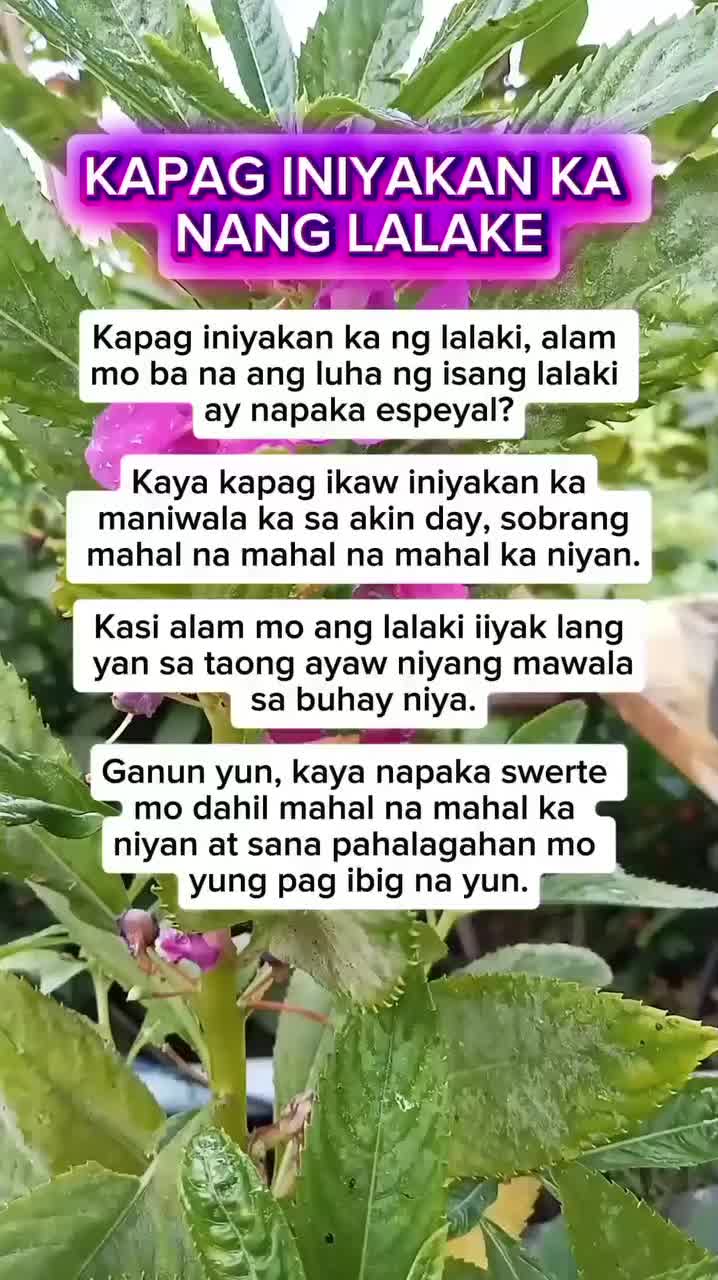 @🐝Tala Hives🐝