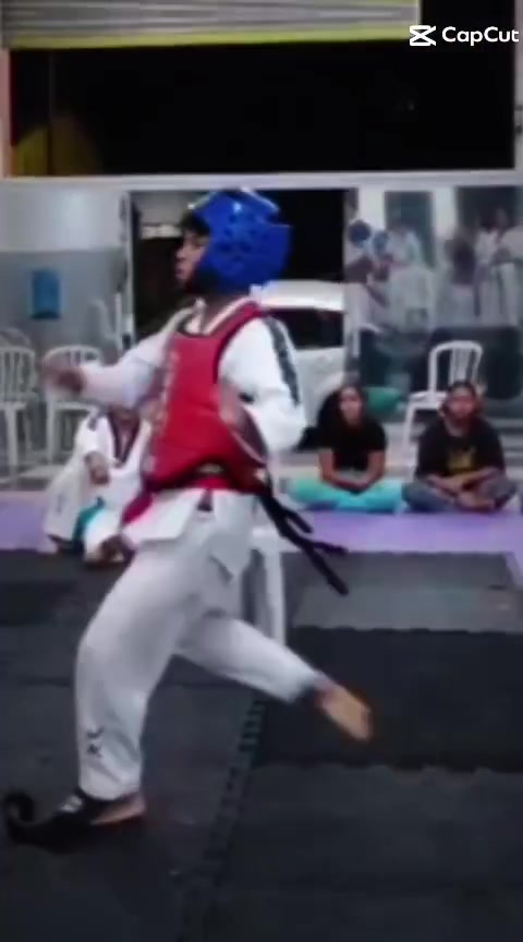 @Tavares TKD Fight
