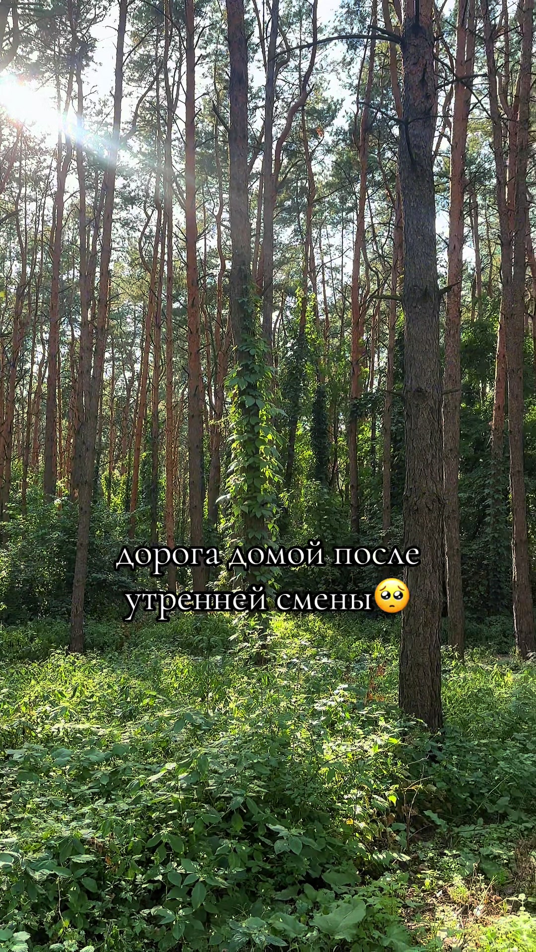 @ками