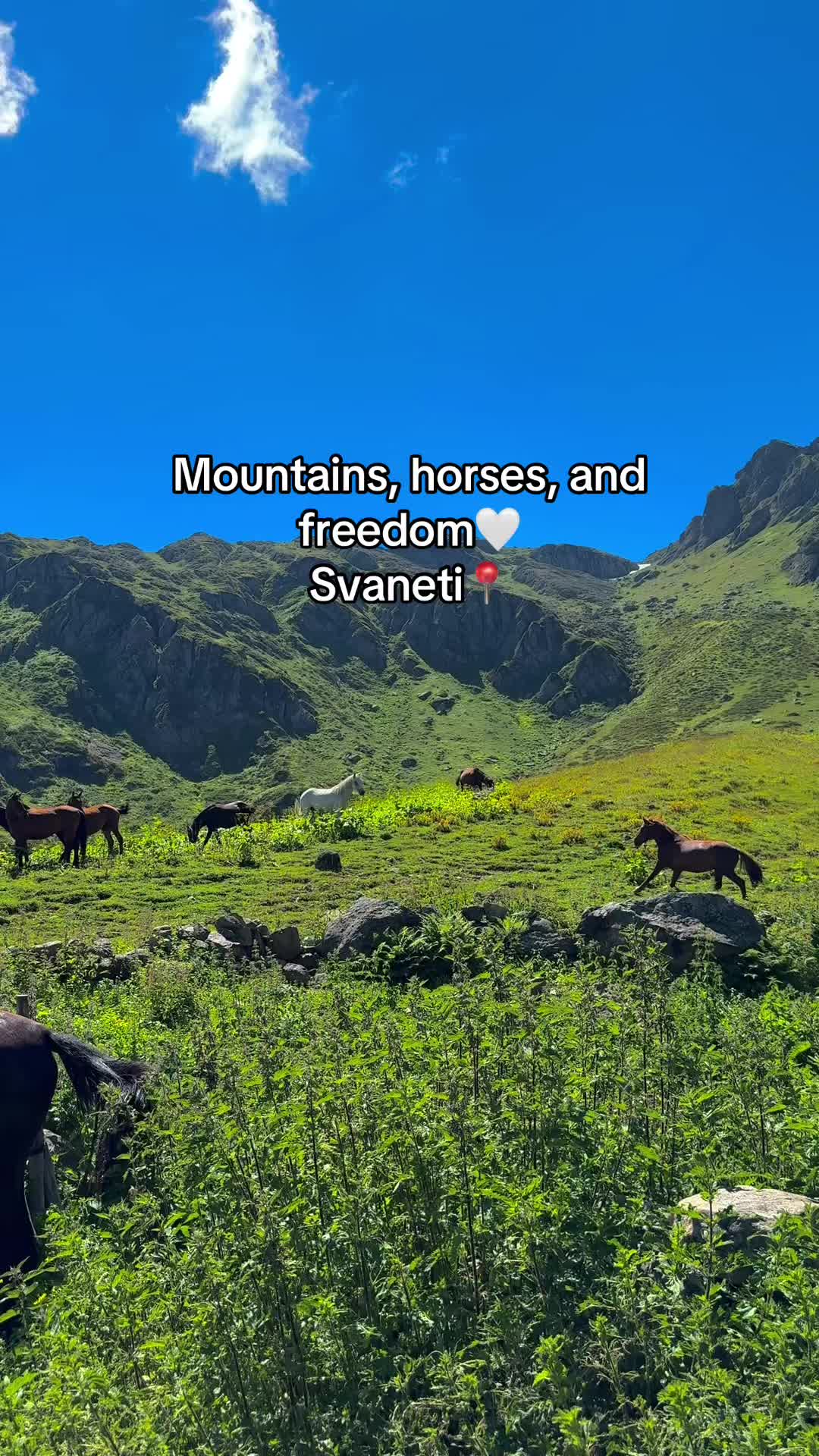 @SvanetiMountainsOfficial