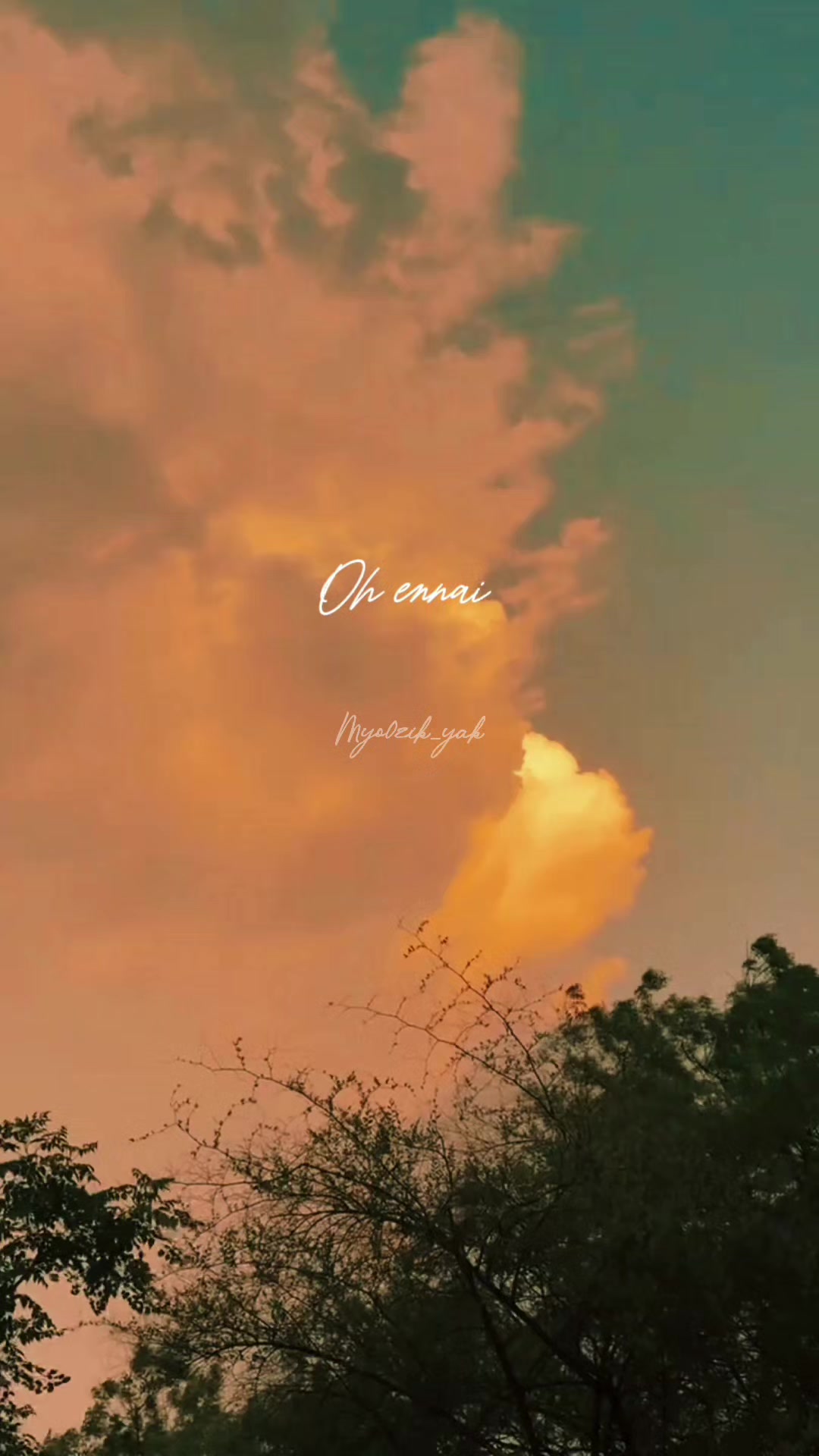 @ꪑꪗꪮ੦ɀỉƙ_ꪗꪖƙ ♪♫♬ 🧬