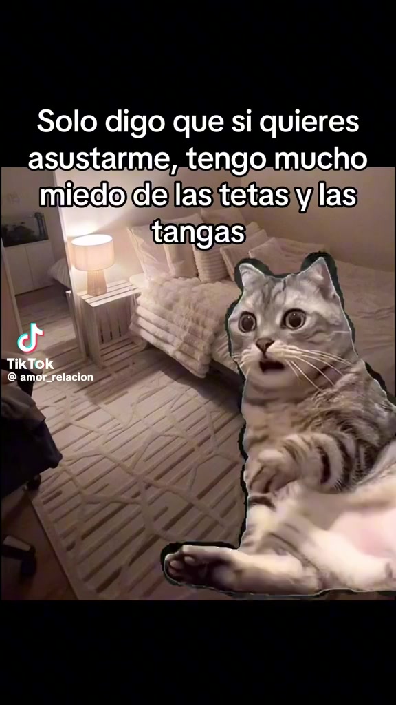 @noe