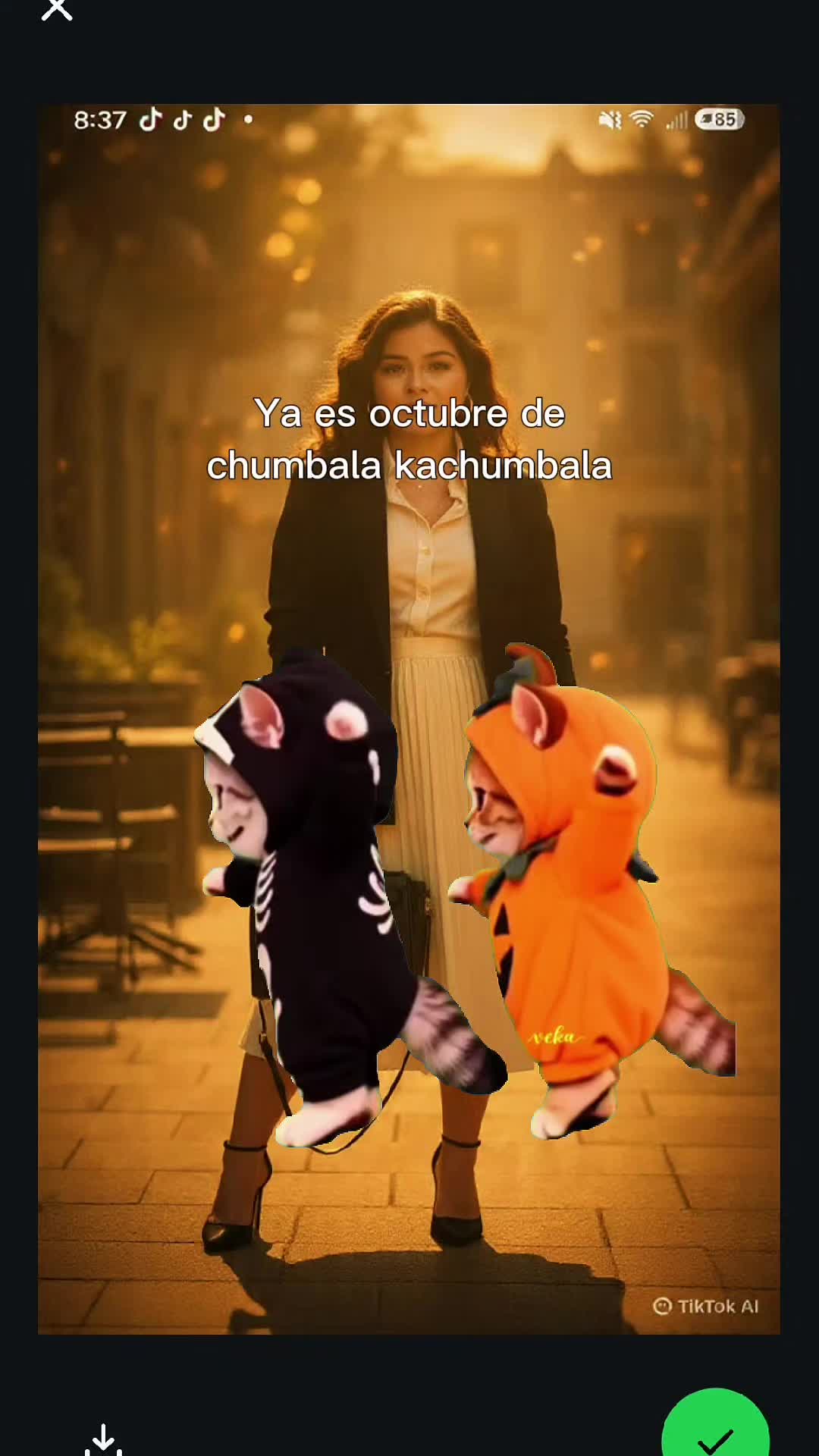 @Araceli Rivera
