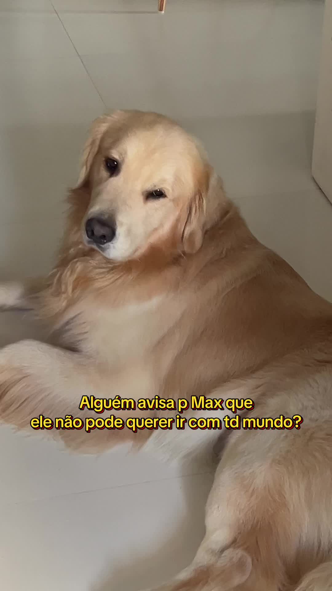 @Flavia Soares