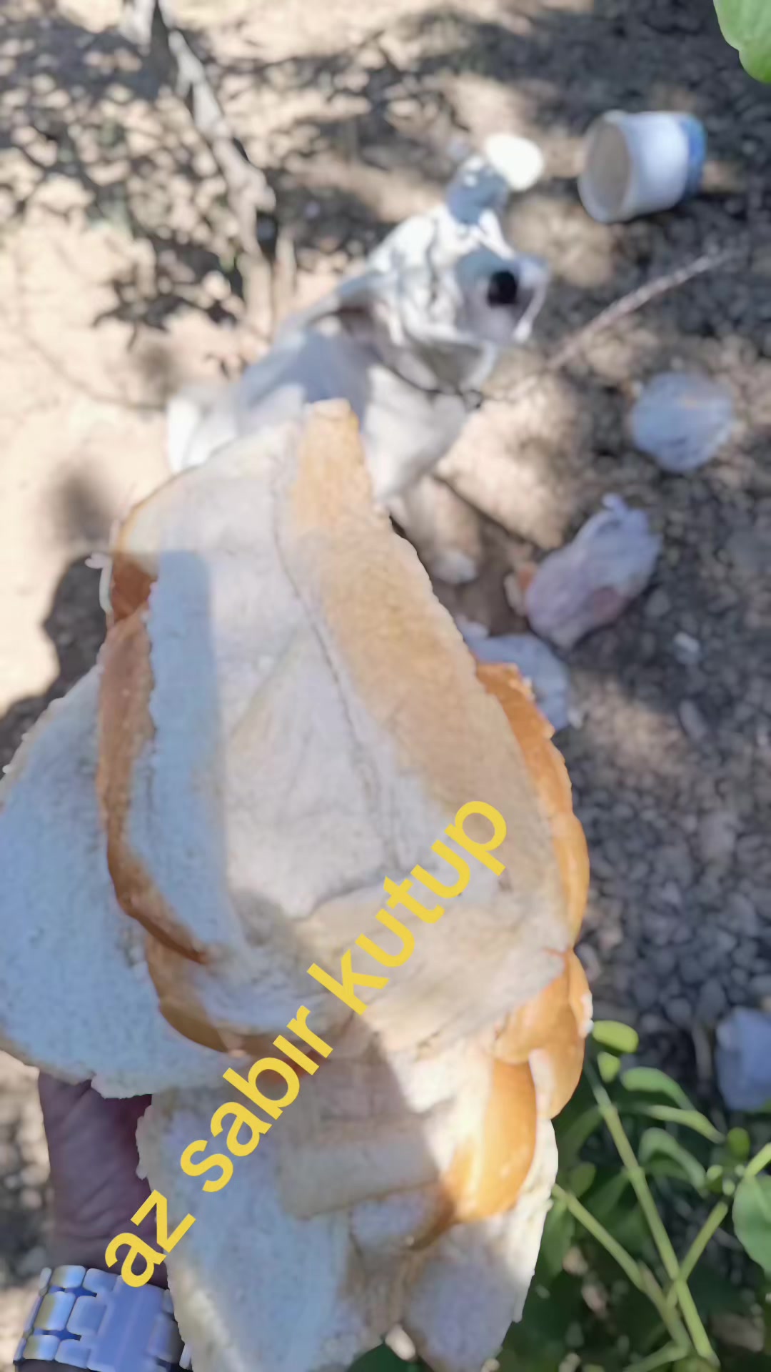 @Duran Karakaş