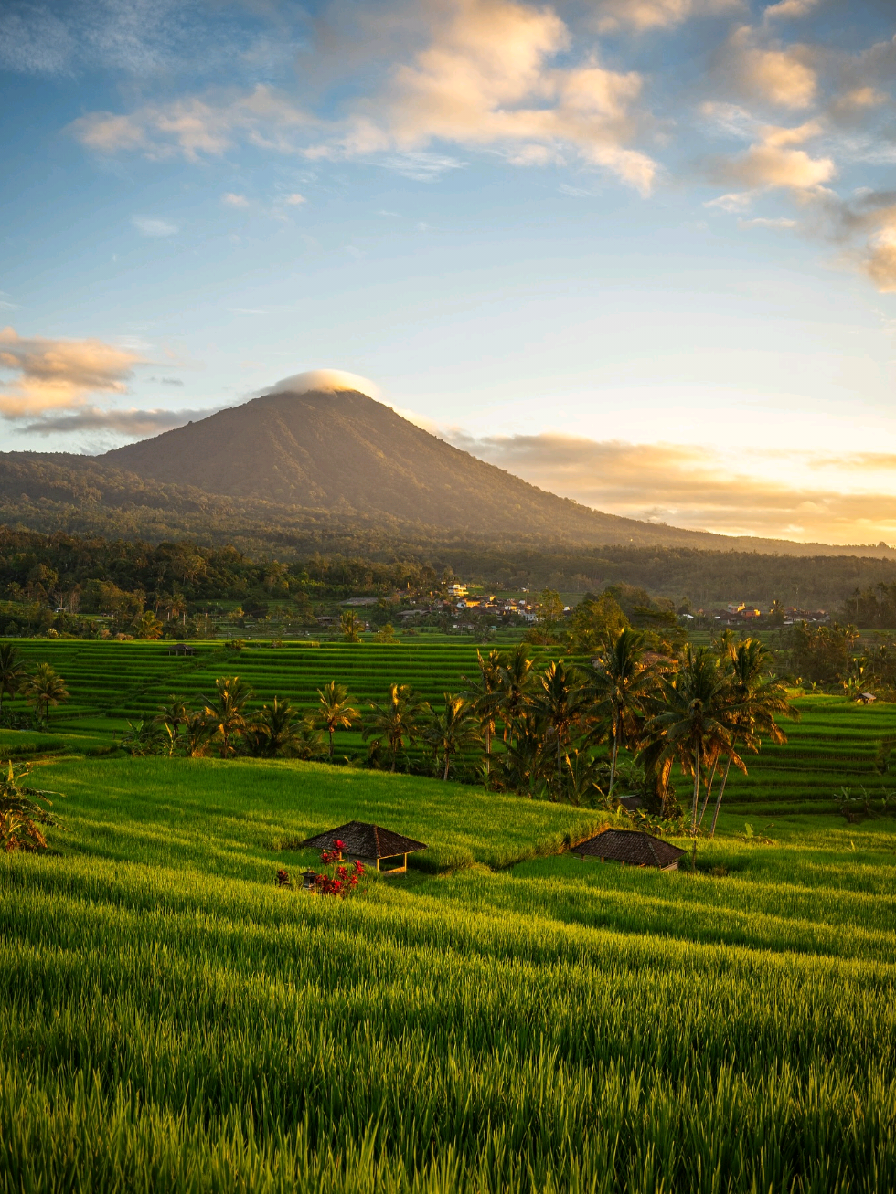 @Bali line tours