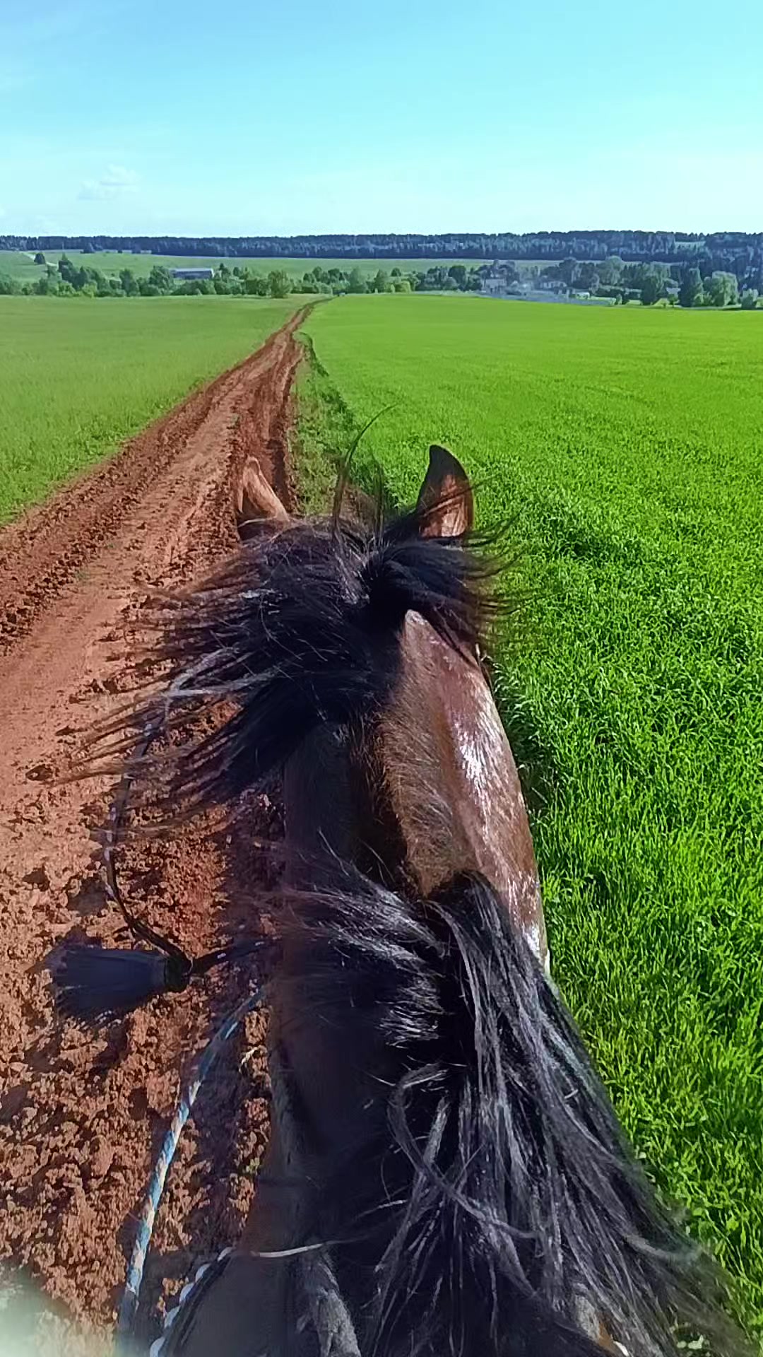 @Елена