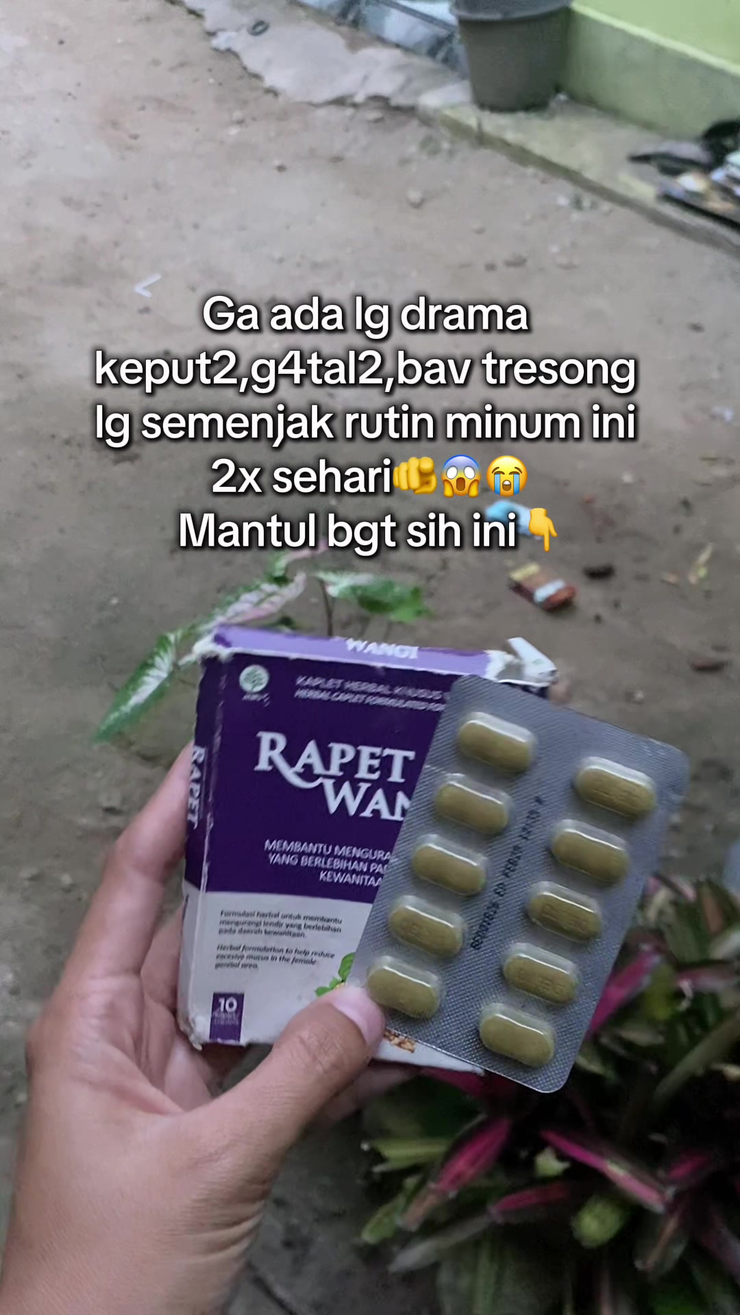 @fifi