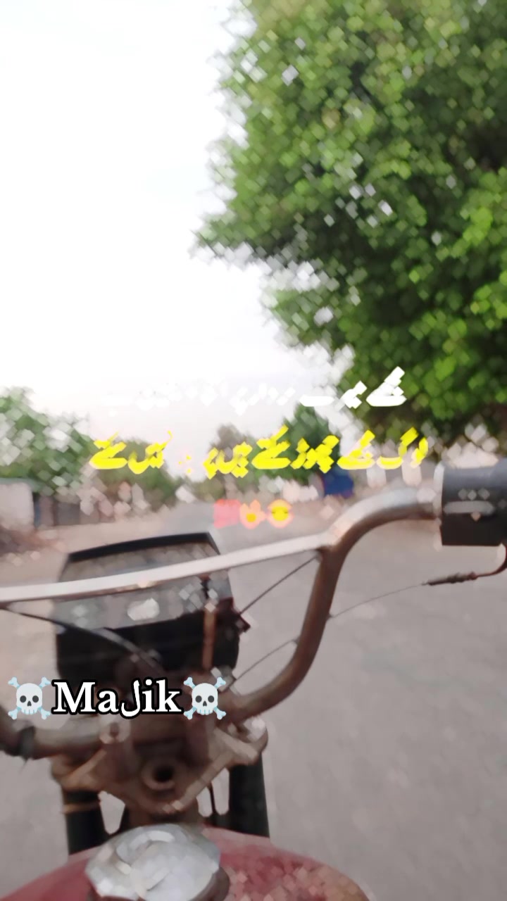 @⚜️Maلik☠️