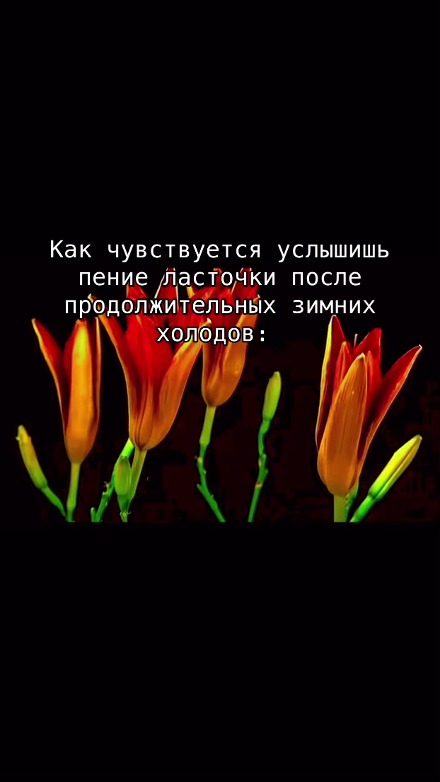 @⚡️𝗥𝗔𝗜𝗡𝗕𝗢𝗪_𝗗𝗔𝗦𝗛🌈