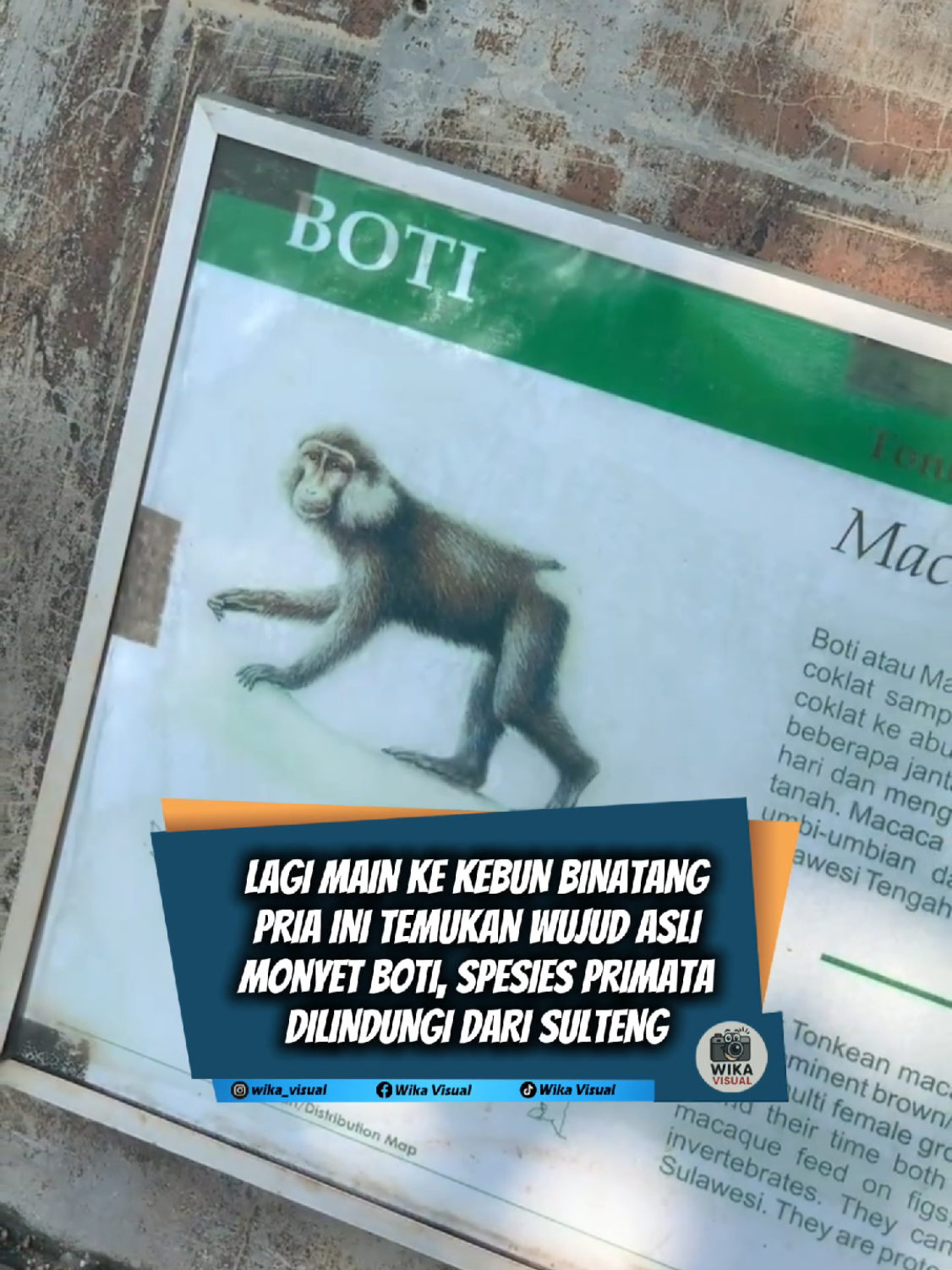 @Wika Visual