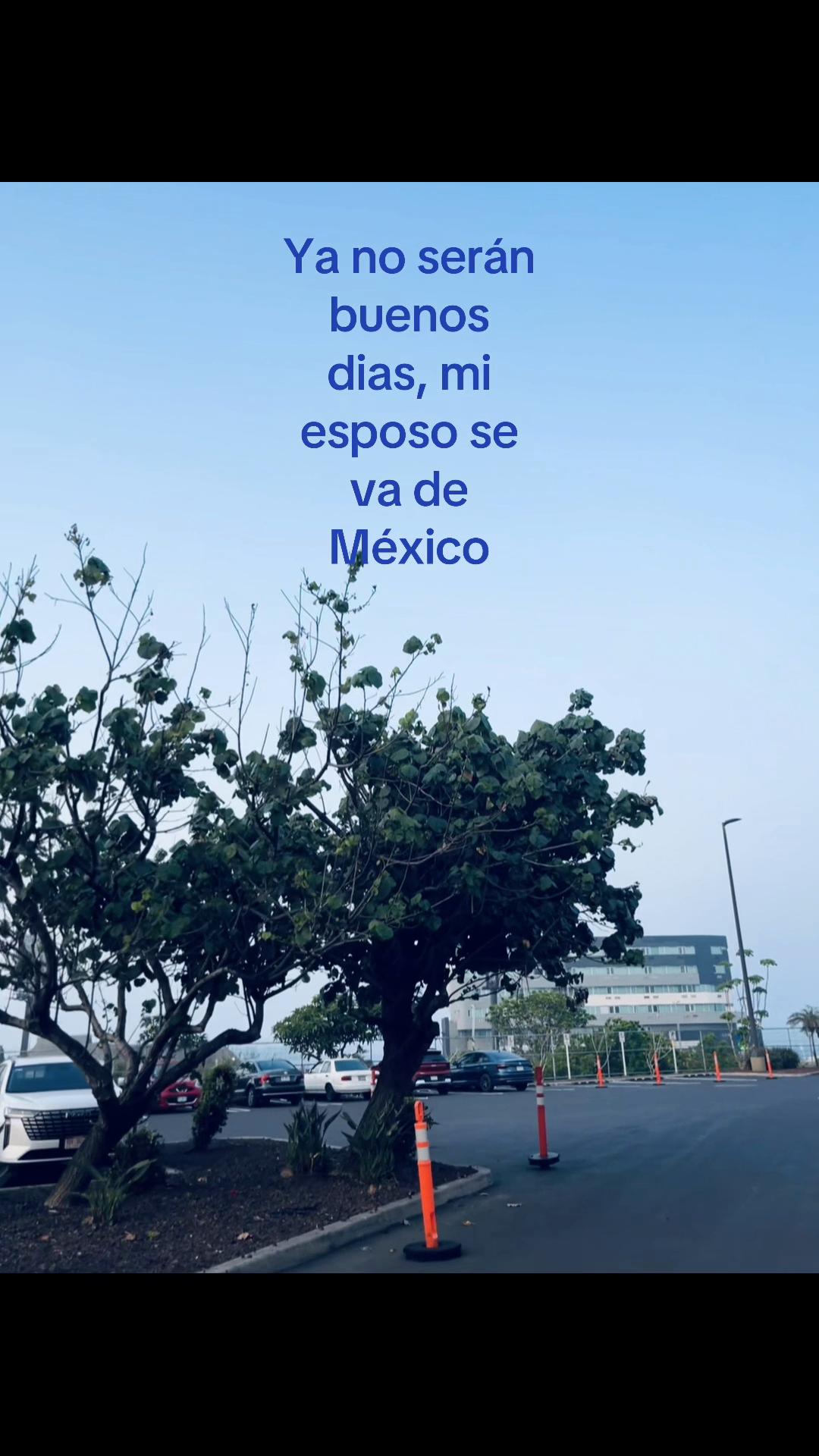 @•.⟭⟬ vanna•. ⟭⟬ .•