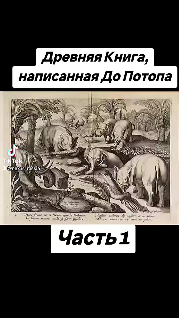@🇷🇺НЕКСУС🇷🇺