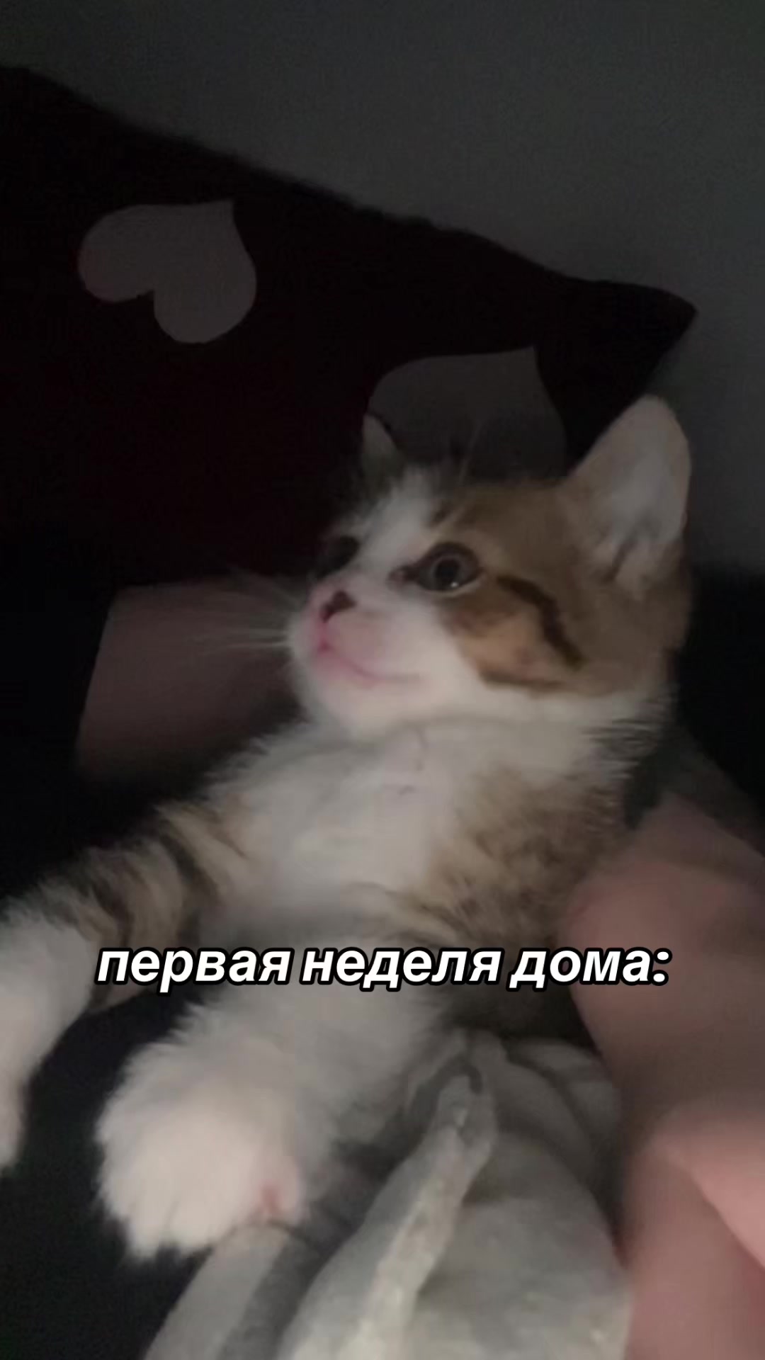 @kolos.sos