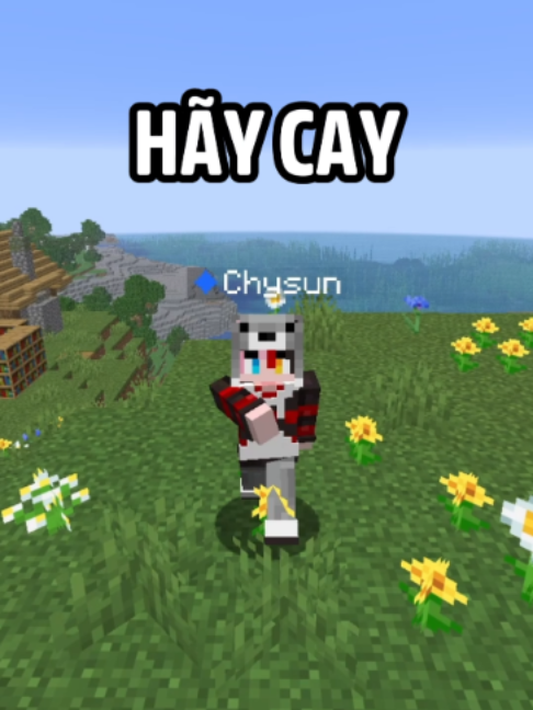 @Chysun