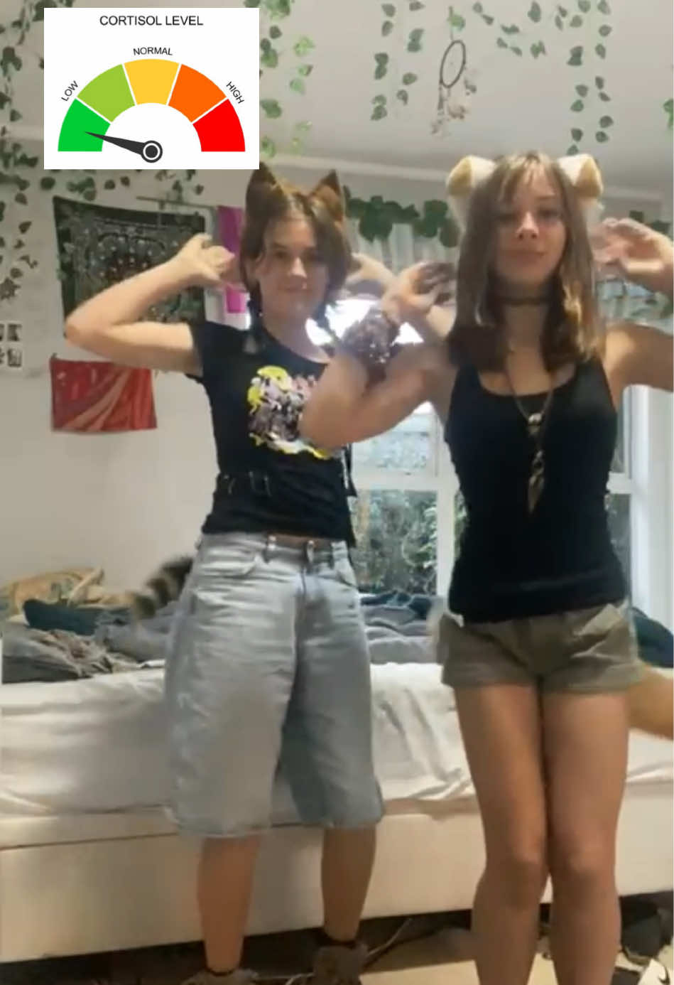@∘✩ ᴍᴀᴘʟᴇ ✩∘ 🦴