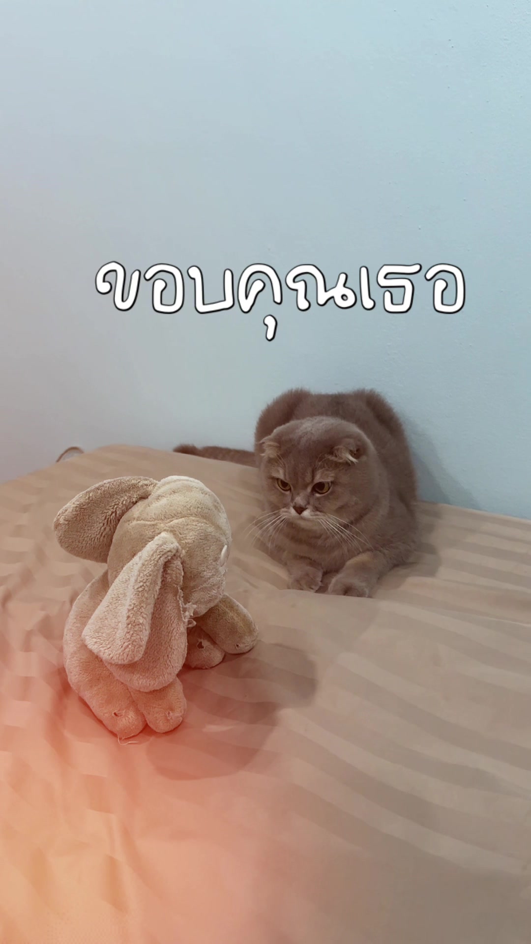 @ミ𓂂 𝙿aRi𓏳 🎧