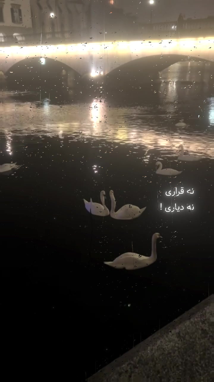 @❗️| 𝐂𝐔𝐌𝐄𝐋