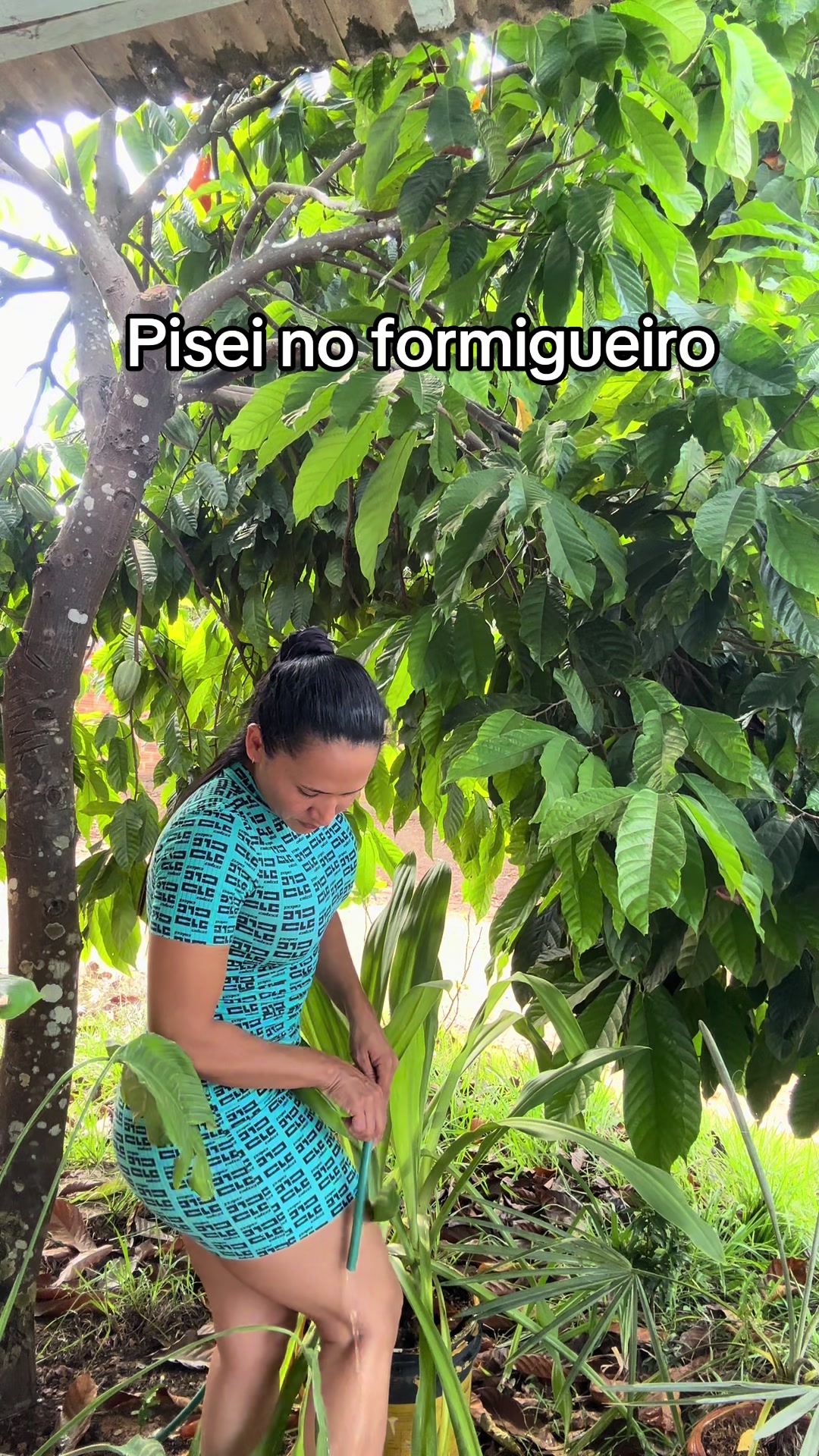 @Elziany