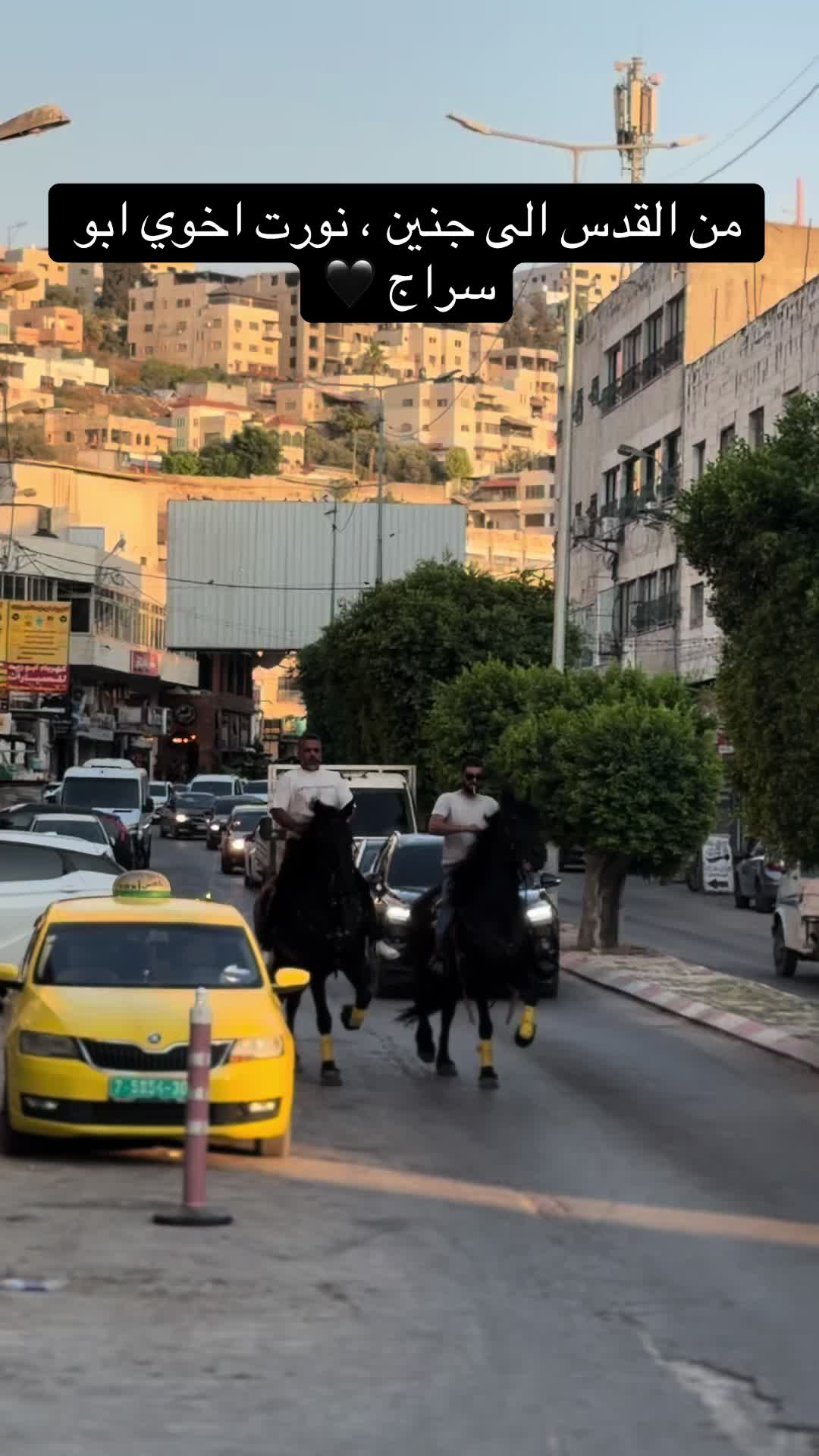 @المحاسب ياسر ابو بكر
