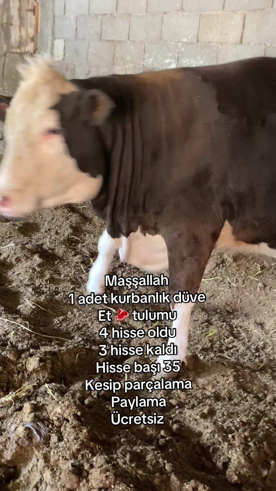 @Güven897