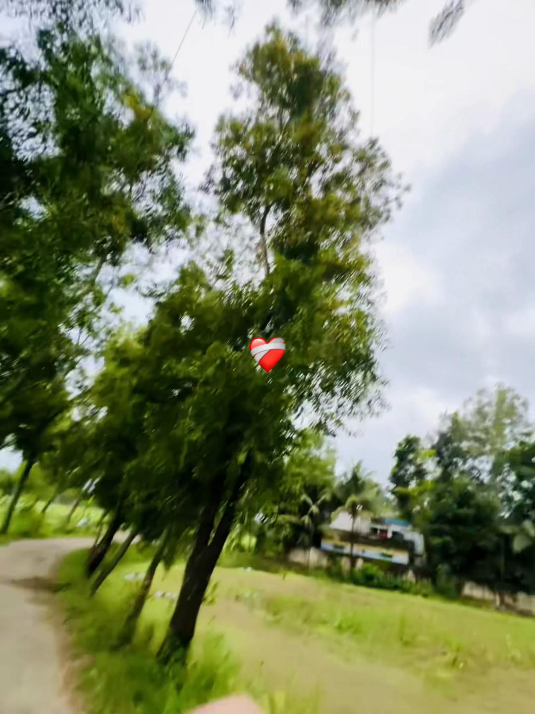 @পরিবারের ছোট ছেলে..🙂🥀