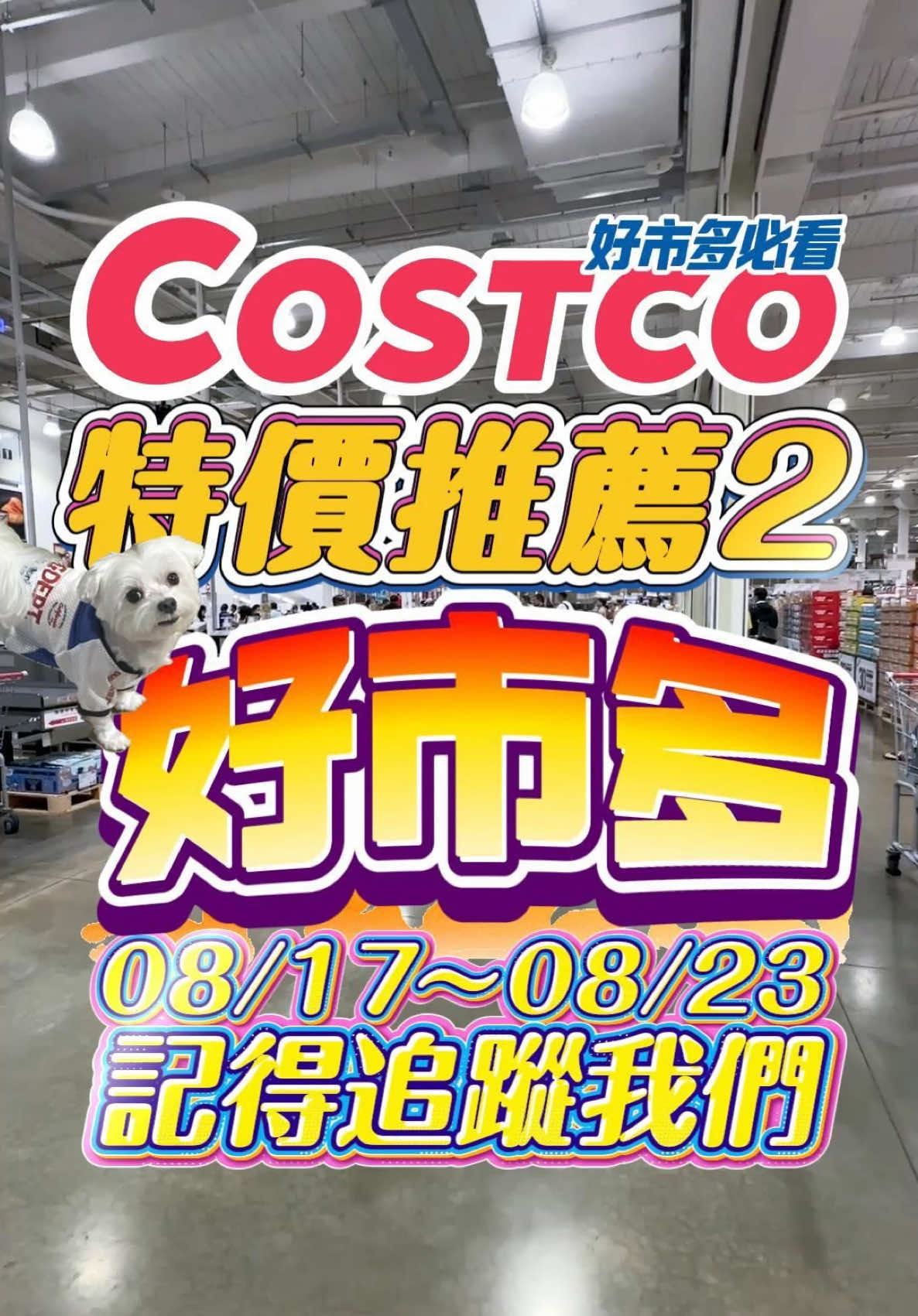 @Youtube搜尋🔍可可酒精
