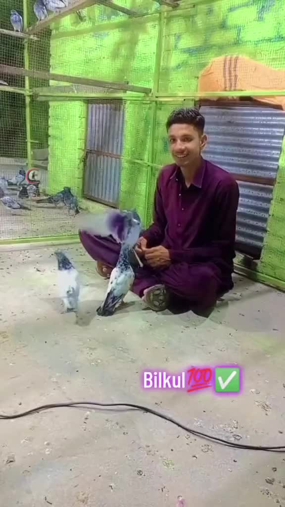 @راجہ عدیل منڈی گروپ گجرخان