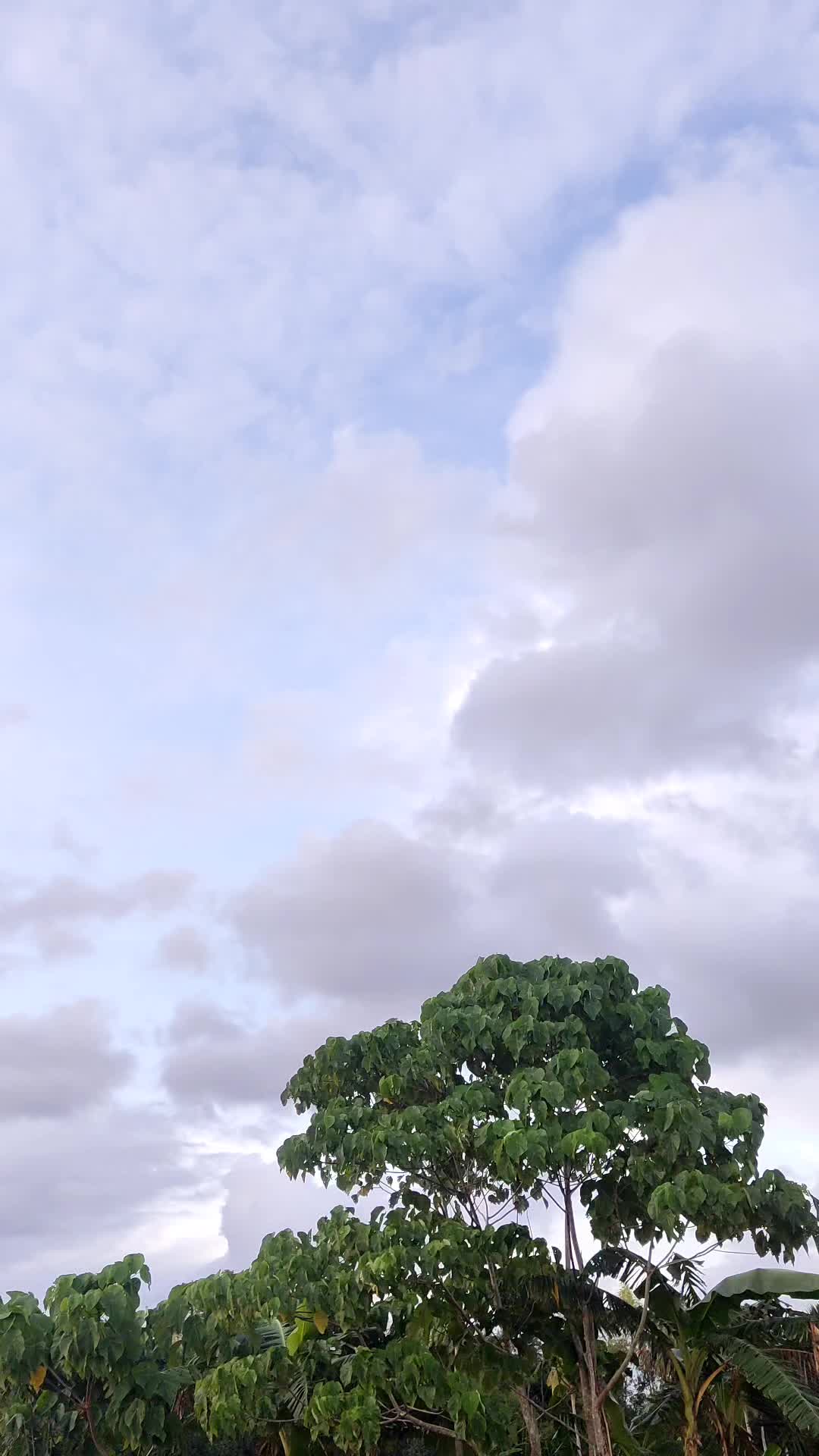 @LAKWATCHERO