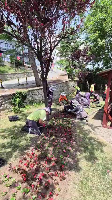 @saynur 52