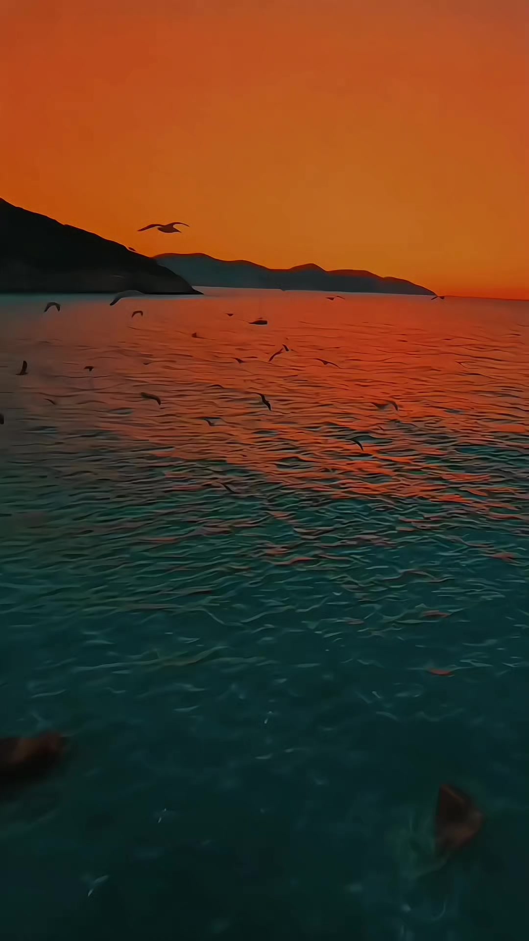 @sᴏᴜʟ🕊