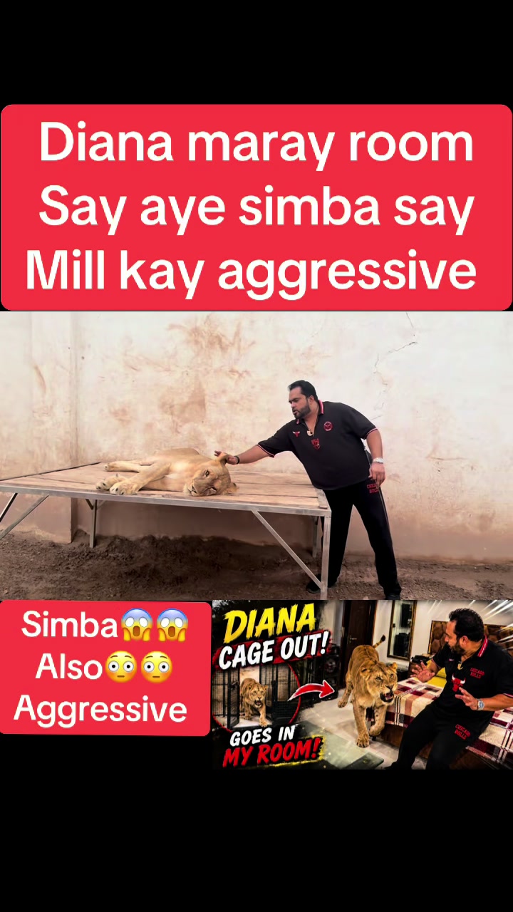 @Mian saqib